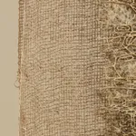 Annette Mills, Enclosed 2, 2026