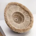 Wanbing Huang, Ying Xu - The Waxing and Waning I, part 3, 2024