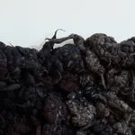 Dana Barnes, FLUX (Held in Motion), 2026