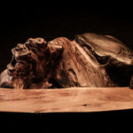 Nic Webb, Oak Vessel II, 2022