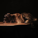 Nic Webb, Oak Vessel II, 2022