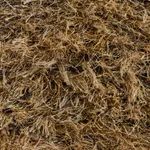 Annette Mills, Enclosed 3, 2025