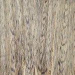 Alida Kuzemczak-Sayer, Stroke, 2023