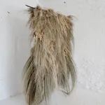 Lucy Williams, Pumpkin, 2026