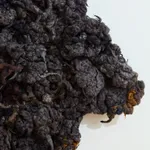 Dana Barnes, FLUX (Held in Motion), 2026