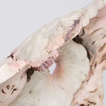 Julian Watts, Flat Blob Vase, 2021