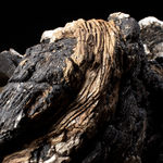 Luke Fuller, Orogen, 2020