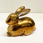 Helen O'Sullivan-Tyrrell, Loose Tooth