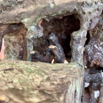 John Behan RHA, Family Coming Ashore, 2020