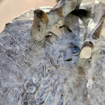 John Behan RHA, Family Coming Ashore, 2020