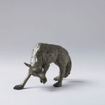 Peter Killeen, The Wolf That Bites its Paw