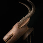 Thumbnail of additional image