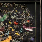 Tusk fragment carved in relief from the Kongo people of the Loango Region, DRC, 19-20th Century