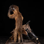 Thumbnail of additional image