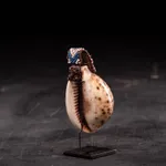 Tusk fragment carved in relief from the Kongo people of the Loango Region, DRC, 19-20th Century