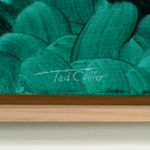 Ted Collier, Moonrise, 2019