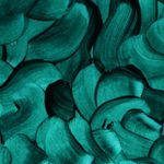 Ted Collier, Moonrise, 2019