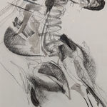 Steeven Salvat, Géranium des bois et Bruant à gorge blanche, 2024