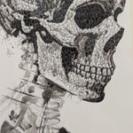 Steeven Salvat, Géranium des bois et Bruant à gorge blanche, 2024