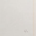 Steeven Salvat, Géranium des bois et Bruant à gorge blanche, 2024