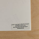 Steeven Salvat, Géranium des bois et Bruant à gorge blanche, 2024