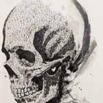 Steeven Salvat, Géranium des bois et Bruant à gorge blanche, 2024