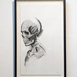 Steeven Salvat, Géranium des bois et Bruant à gorge blanche, 2024