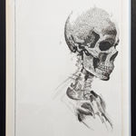 Steeven Salvat, Géranium des bois et Bruant à gorge blanche, 2024