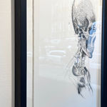 Steeven Salvat, Géranium des bois et Bruant à gorge blanche, 2024