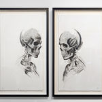 Steeven Salvat, Géranium des bois et Bruant à gorge blanche, 2024