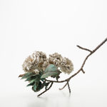 Satomi Den, Lotus, 2024