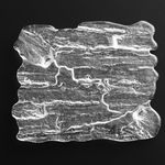 Satomi Den, Camellia Cup, 2024