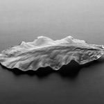 Satomi Den, Lotus, 2024