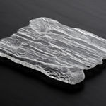 Satomi Den, Camellia Cup, 2024