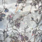 Mirang Wonne, Quiet Light 4824-1