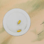 Ella Sutherland, Mechanik Exercises, 2019