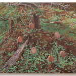 Nichola Shanley, Paper Hat, 2020