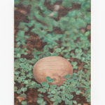 Nichola Shanley, Paper Hat, 2020