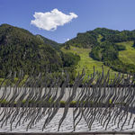 Rows of wire rope reach skyward in a wavy grid in front of an alpine landscape, casting shadows on the ground