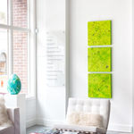 Susan Swartz, NZ Fragmented 6, 2016