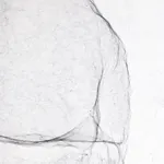 Image of Saraceno spider box.