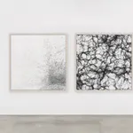 Image of Cosmic Filaments