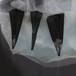 Image of Levianes #3