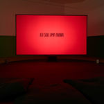 Image of Eu sou uma arara [I am a Macaw].