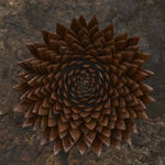 Image of Hrafntinnublómstur (Obsidian bloom) 2