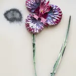 Image of Curtis (No. 571).