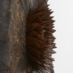 Image of Hrafntinnublómstur (Obsidian bloom) 2