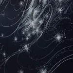 Image of Night of Hope.