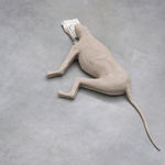 Image of Dog with All Existing Words