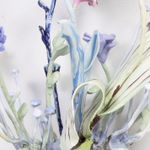 Image of Polypore nr 1